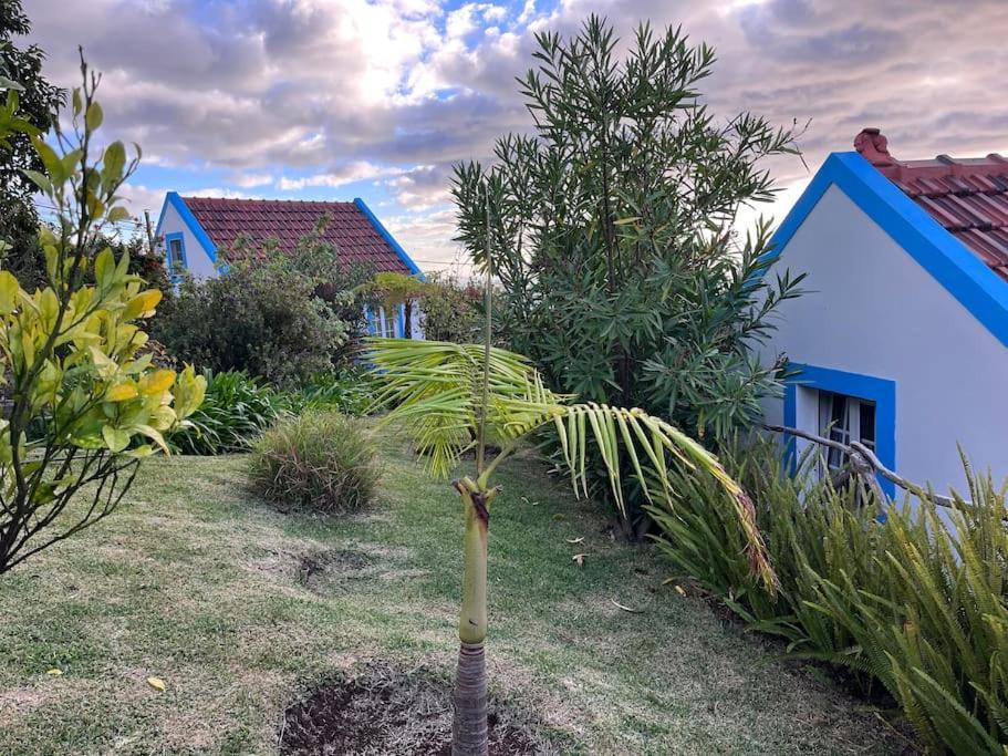 Holiday home Lucky Lemons Boutique Madeira 1 *
