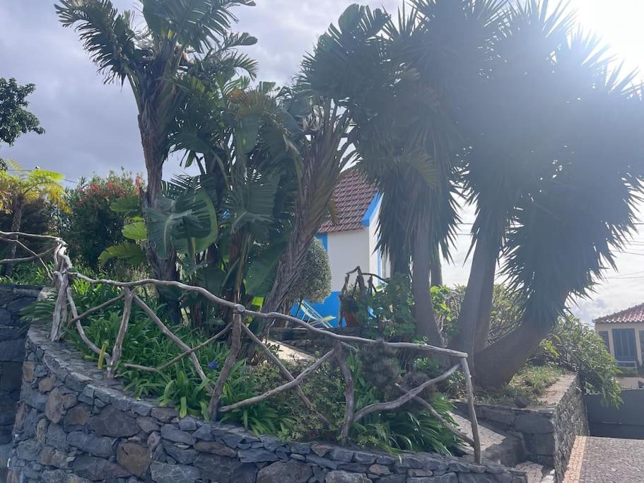 Lucky Lemons Boutique Madeira 1 Calheta (Madeira)