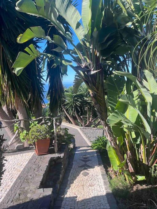 Holiday home Lucky Lemons Boutique Madeira 1