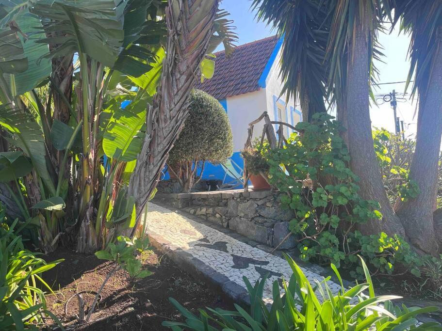 Lucky Lemons Boutique Madeira 1 Holiday home *